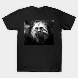 Black and White Golden Lion Tamarin T-Shirt